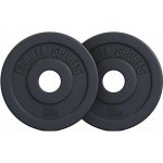 Gorilla Sports zátěžové desky 2 ks cement plast 5 kg 210 mm – Hledejceny.cz