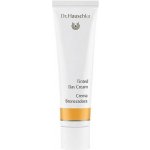 Dr. Hauschka Tinted Day Cream 30 ml – Hledejceny.cz