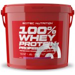 Scitec Nutrition 100 Whey Protein Professional 4000 g – Hledejceny.cz