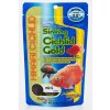 Hikari Cichlid Gold Sinking Mini 100 g
