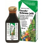 Salus Haus Floradix kurkuma tekutý 250 ml – Hledejceny.cz