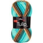 Příze Tulip Color 5215 – Zboží Dáma
