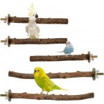 Umlipot 5dílná bidýlka pro andulky 20 cm 25 cm bidýlka do ptačí klece sada bidýlek pro andulky – Zboží Dáma