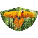 Günther PAPAGEI 75x48 cm – Sleviste.cz