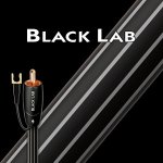 AudioQuest Black Lab 2,0m – Zbozi.Blesk.cz
