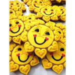 MEDUŇKA pekařství perníkářství Sluníčko PB 35 g – Zboží Dáma