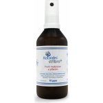 Koloidní stříbro Proti mykózám a plísním sprej 100 ml 70 ppm – Hledejceny.cz