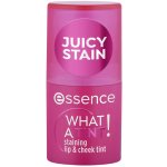 essence WHAT A TINT! multifunkční líčidlo na rty a tváře 10 Raspberry Vibes 5 g – Hledejceny.cz