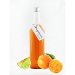 Sirupárna Domácí Citrus Mix Sirup 0,5 l – Hledejceny.cz