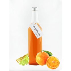 Sirupárna Domácí Citrus Mix Sirup 0,5 l