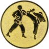 Sportovní medaile Bojové sporty emblém LTK078M