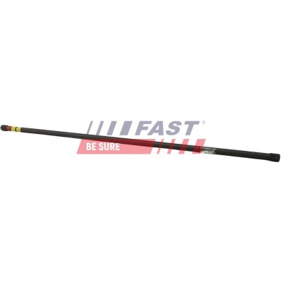 FAST Závrtný šroub, torzní tyč FST FT13601 | Zboží Auto