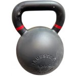 TRUESTEEL StrongGear ocel 32 kg – Zboží Mobilmania