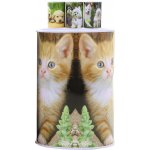 Pokladnička kovová pejsci a kočičky – Sleviste.cz