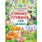 Domáce zvieratá a ich mláďatá – Hledejceny.cz