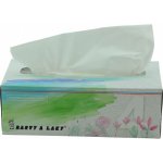 Balsoft papírové kapesníčky 4-vrstvé v krabičce 70 ks – Zboží Dáma