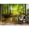 Tapety Gario Fototapeta Potok v lese při východu slunce MateriálVliesová rozměry 200 x 140 cm