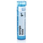 SPONGIA TOSTA POR 9CH GRA 4G – Hledejceny.cz