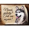 Autovýbava Sport hobby Cedulka Husky III Piškoty CP1575 15 x 11 cm