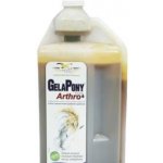 Orling GelaPony Arthro Biosol 3 l – Zboží Mobilmania