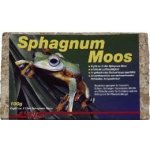 Lucky Reptile Sphagnum Moos rašeliník 100 g – Zboží Mobilmania