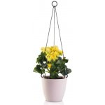 Plastkon Květináč Ariella Pr.18 cm Růž Závěsný – Hledejceny.cz