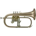 Roy Benson Bb- FH-302G Pro série – Zboží Dáma
