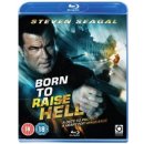 Born To Raise Hell BD