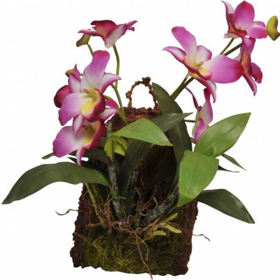 Lucky Reptile Závěsná orchidej purpurová 20x30 cm – Zbozi.Blesk.cz