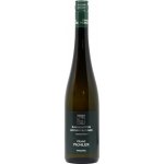 Franz Pichler Grüner Veltliner Bachgarten 2023 12,5% 0,75 l (holá láhev) – Hledejceny.cz