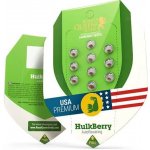 Royal Queen Seeds Hulkberry AUTO semena neobsahují THC 1 ks – Zboží Dáma