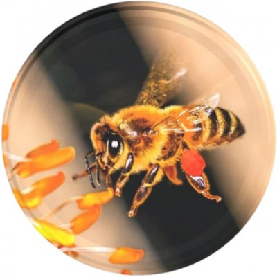Víčko na med LETÍCÍ VČELA TO 82 RTS (paster do 105°C) Počet kusů v balení: 1 – Sleviste.cz