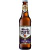 Pivo Regent 10 světlé výčepní 3,9% 0,5 l (sklo)