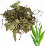 Aniland Jitrocel sušený list pro králíky a hlodavce 50 g – Zboží Mobilmania