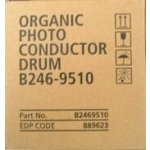 Ricoh B246-9510 - originální – Hledejceny.cz