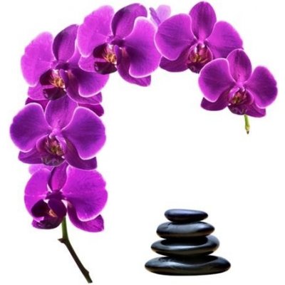 IMPOL TRADE DS 410-07 Samolepky na zeď orchidej s kameny rozměr 85 cm x 88 cm – Zboží Mobilmania