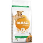 Iams Dog Adult Large Lamb 12 kg – Hledejceny.cz