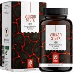 Naturtreu Síla vulkánu MSM & Vitamín C 240 tablet – Hledejceny.cz