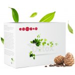 Essens Flow'EN 3x 30 tablet + Essens ES'Pure 2x 30 tablet + Essens Clea'NS 30 tablet + Essens ES`Pure Start 30 tablet – Hledejceny.cz