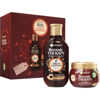 Garnier Botanic Therapy Ricinus Oil & Almond šampon na vlasy 250 ml + vlasová maska pro slabé vlasy 300 ml dárková sada – Hledejceny.cz