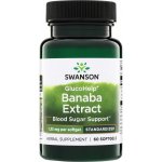 Swanson GlucoHelp 60 kapslí – Hledejceny.cz