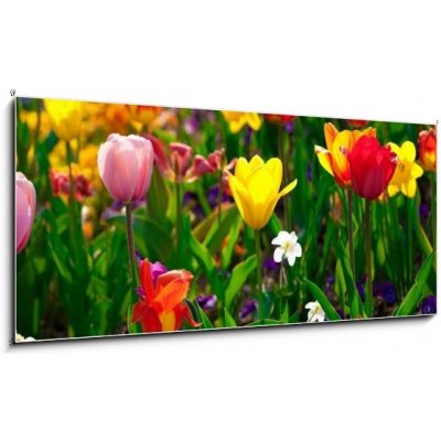 Skleněný obraz 1D panorama - 120 x 50 cm - Sea of flowers Květinové moře – Zboží Mobilmania