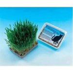 Nobby Tráva pro kočky 100g – Zboží Dáma