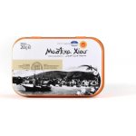 Chios GMGA Masticha surová velká 20 g – Hledejceny.cz