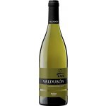 Bodegas Valdubón Valdubón Verdejo Roble Blanco 2022 13,5% 0,75 l (holá láhev) – Hledejceny.cz