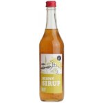 Moštárna Hostětín sirup bezový Bio 500 ml – Zboží Dáma