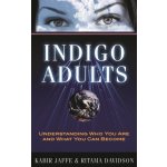 Indigo Adults - K. Jaffe, R. Davidson Understandin – Hledejceny.cz
