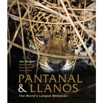 Pantanal and Llanos