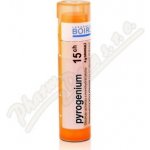 PYROGENIUM POR 15CH GRA 4G – Hledejceny.cz
