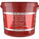 Scitec 100% Whey Protein Professional LS 5000 g